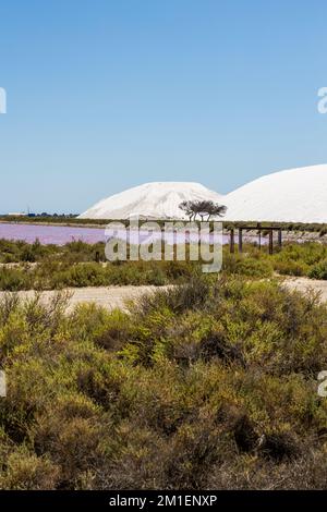 TAS de sel blanc dans le Salin d'Aigues-Mortes Foto Stock