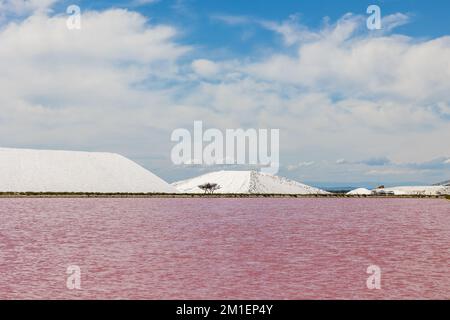 TAS de sel blanc dans le Salin d'Aigues-Mortes Foto Stock