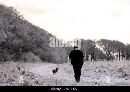 Brighton, Regno Unito. 12th Dec, 2022. Dog Walker nei boschi vicini a Falmer durante la neve recente, Sussex. Credit: Steven Paston/Alamy Live News Credit: steven Paston/Alamy Live News Foto Stock