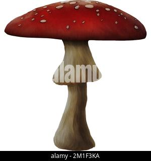 Fungo rosso Fungus variante 1 sfondo isolato Digital Art by Winters860 Foto Stock