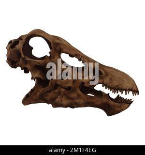 Diplodocus Dinosaur cranio Arte digitale di Winters860 isolato, sfondo Foto Stock