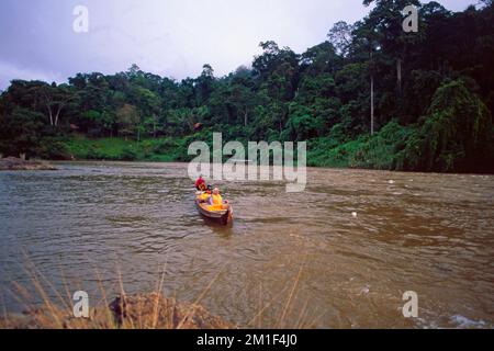 Malesia: Un viaggio in barca attraverso la seconda foresta pluviale più antica nel Parco Nazionale di Taman Negara Foto Stock