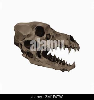 Dire Wolf Skull Digital Art di Winters860 isolato, sfondo Foto Stock