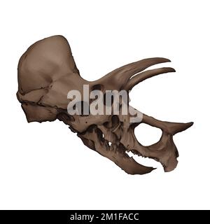 Triceratops Skull Digital Art di Winters860 isolato, sfondo Foto Stock