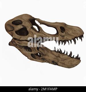 Tyrannosaurus T Rex cranio Arte digitale di Winters860 isolato, sfondo Foto Stock