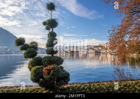 Lugano e Promenade (Riva Vincenzo vela) Lugano. Vista dal parco di Ciani e dall'albero topico e dall'albero giallo d'autunno! Foto Stock