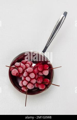 Grappoli congelati di bacche rosse in ciotole di metallo. Giacitura piatta. Sfondo bianco. Foto Stock