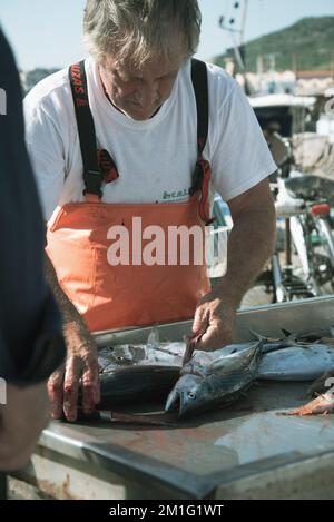 ITALIA, TRAPANI-20 OTTOBRE: Trapani è una città sulla costa occidentale della Sicilia. Vista del mercato del pesce di Trapani il 20 ottobre 2022, Trapani, Sicilia. Foto Stock