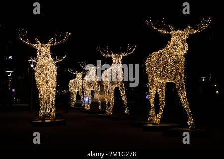 Belle decorazioni natalizie renna e calde luci decorative a Stoccolma, Svezia Foto Stock