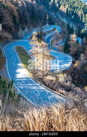 Strada a tornante sul Passo Maloja (Passo del Maloja) con alberi di larice nei colori autunnali Foto Stock