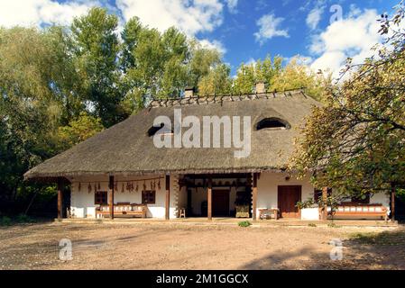 Tradizionale ucraino villaggio vecchio stile casa con tetto di paglia sullo sfondo del cielo blu in autunno. Spazio di copia Foto Stock