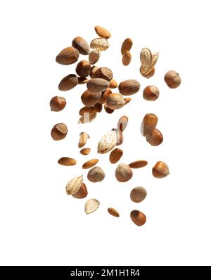 Noci diverse cadono su un fondo isolato bianco Foto Stock