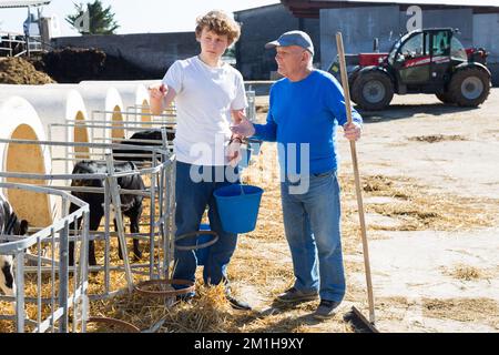 Proprietario di caseificio esperto che insegna giovane lavoratore Foto Stock