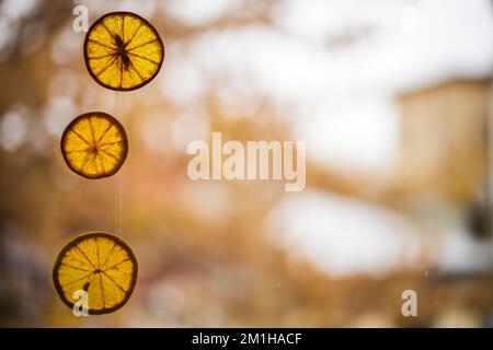 Decorazione di Natale, fette di arancia disidratate. Foto Stock