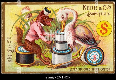 Kerr & Co's Aesop's favole. La volpe e la cicogna, vedere l'altro lato, extra sei spool cord cotone. , Foxes, Storks, thread, cotone, Carte commerciali americane del 19th° secolo Foto Stock