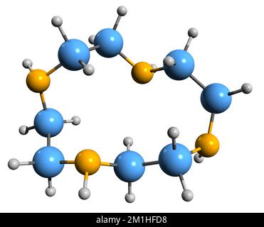 3D immagine della formula scheletrica ciclena - struttura chimica molecolare del tetrazaciclodododecano isolato su sfondo bianco Foto Stock