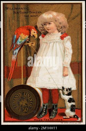 Willimantic filo a sei corde, il migliore. Tesori domestici. , Ragazze, pappagalli, gatti, thread, Cotone, 19th ° secolo American Trade Cards Foto Stock