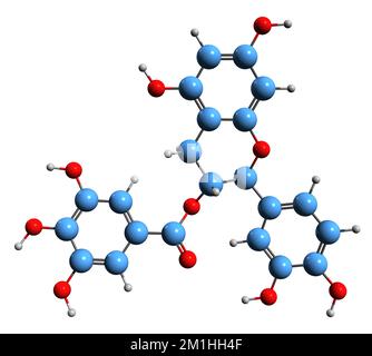 3D immagine dell'epicatechina gallato formula scheletrica - struttura chimica molecolare del flavan-3-olflavan-3-olo isolato su sfondo bianco Foto Stock