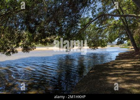 Laguna Cáhuil (Pichilemu) - Cile Foto Stock