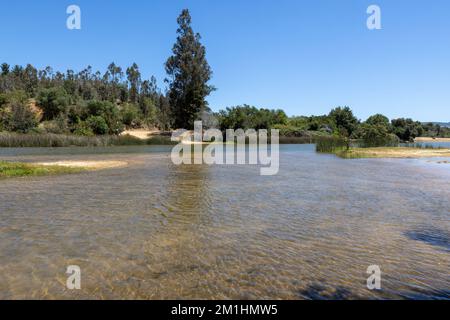 Laguna Cáhuil (Pichilemu) - Cile Foto Stock