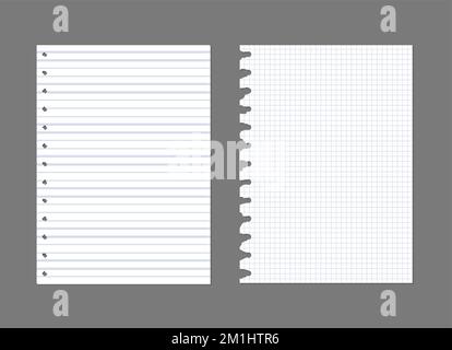 Sfondo della pagina cartacea del libro degli esercizi. Motivo a trama rivestita del foglio del notebook Illustrazione Vettoriale