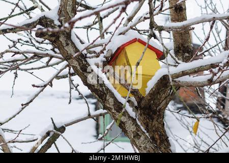 Bird house / bird feeder coperto di neve in inverno Foto Stock