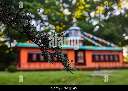 Santuario buddista tibetano mongolo con dettaglio sul ramo sempreverde Foto Stock