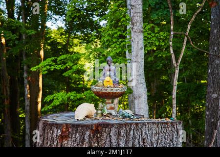 Piccola statua di Buddha su un tronco d'albero nella foresta Foto Stock