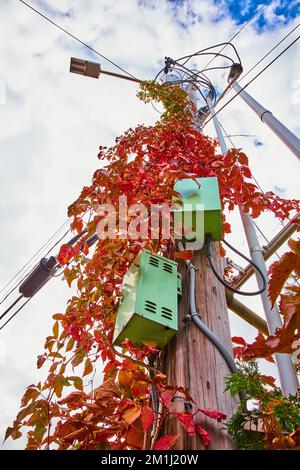 Guardando in alto il palo del telefono con le scatole verdi e coperto di viti rosse Foto Stock