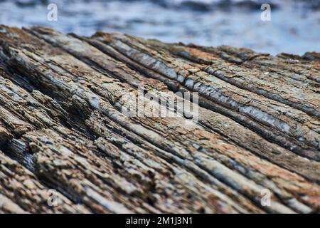 Particolare di rocce stratificate come legno pietrificato sulla costa del Maine Foto Stock