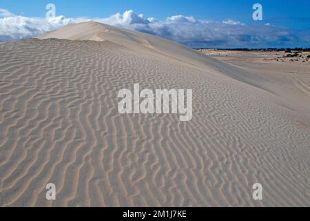 Dune di sabbia a Lancelin Foto Stock