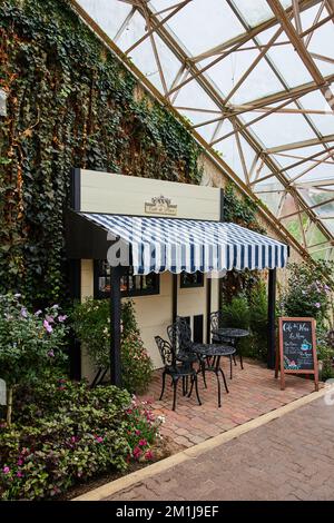 Minuscola caffetteria francese creata all'interno di giardini botanici con soffitto in vetro Foto Stock