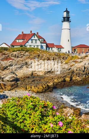 Particolare del faro bianco sulla costa rocciosa del Maine con fiori rosa in primo piano Foto Stock