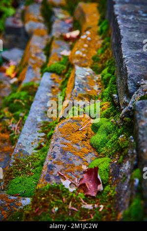 Piccole pietre in dettaglio ricoperte di muschio e lichene arancione Foto Stock