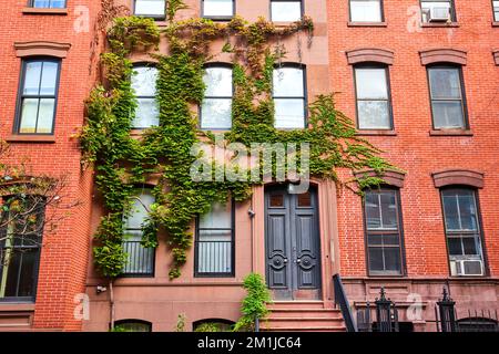 Splendida entrata frontale di un edificio di appartamenti in mattoni coperto da viti verdi nel Greenwich Village di New York City Foto Stock