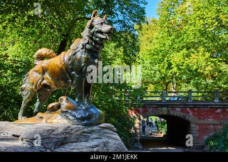 Statua del cane da slitta Baltò a Central Park New York City Foto Stock