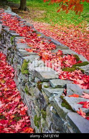 Muro di pietra con muschio coperto di colorate foglie rosse caduta in mucchi Foto Stock