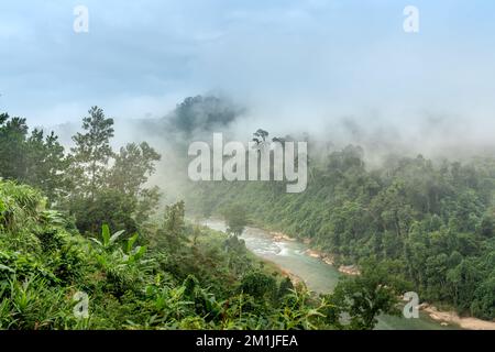 Le nuvole volano sulle fitte foreste montane e sui ruscelli nel nord del Vietnam Foto Stock