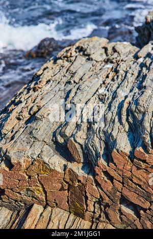 Particolare di rocce che sembrano legno pietrificato sulla costa oceanica nel Maine Foto Stock