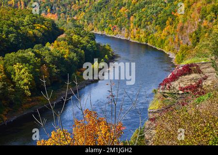 Patch del fiume Delaware dall'alto in autunno con la roccia ricoperta di viti rosse Foto Stock