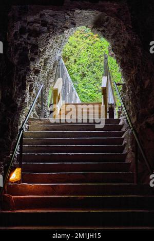 Scalini in pietra nel tunnel della grotta scura che conduce all'uscita con la foresta verde Foto Stock
