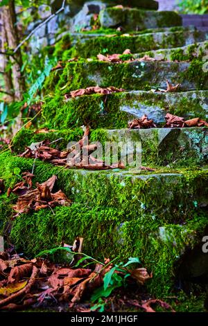 Particolare sulle scale coperto di muschio verde e foglie di caduta Foto Stock