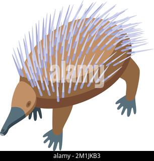 Vettore isometrico dell'icona echidna. Animale carino. Spinoso selvatico Illustrazione Vettoriale