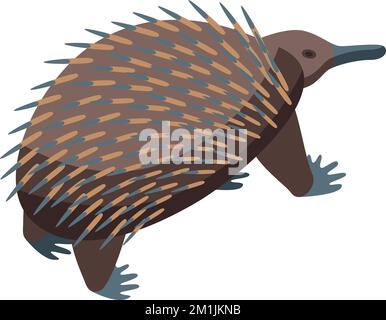 Cute echidna icona vettore isometrico. Natura animale. Animale Australia Illustrazione Vettoriale