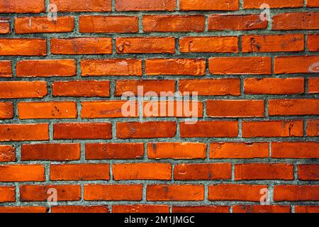 Parete di mattoni di colore arancione vivace dettaglio texture asset con Malta grigio scuro Foto Stock