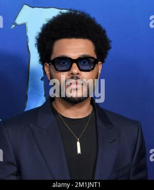 Hollywood, California, USA 12th Dicembre 2022 Singer/musicista The Weeknd aka Abel Makkonen Tesfaye partecipa al 20th Century Studio 'Avatar 2: The Way of Water' U.S. Prima al Dolby Theatre il 12 dicembre 2022 a Hollywood, California, USA. Foto di Barry King/Alamy Live News Foto Stock