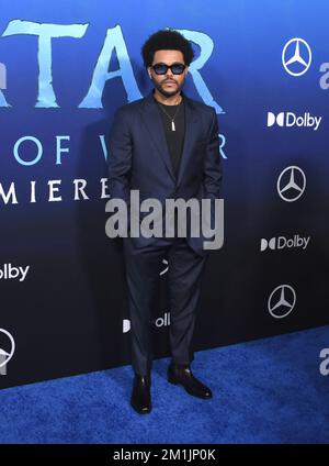 Hollywood, California, USA 12th Dicembre 2022 Singer/musicista The Weeknd aka Abel Makkonen Tesfaye partecipa al 20th Century Studio 'Avatar 2: The Way of Water' U.S. Prima al Dolby Theatre il 12 dicembre 2022 a Hollywood, California, USA. Foto di Barry King/Alamy Live News Foto Stock