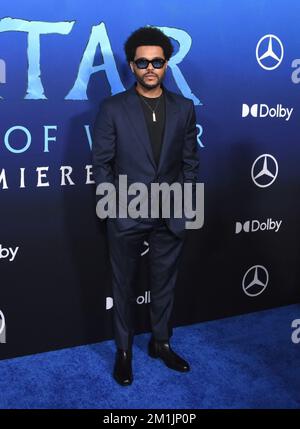 Hollywood, California, USA 12th Dicembre 2022 Singer/musicista The Weeknd aka Abel Makkonen Tesfaye partecipa al 20th Century Studio 'Avatar 2: The Way of Water' U.S. Prima al Dolby Theatre il 12 dicembre 2022 a Hollywood, California, USA. Foto di Barry King/Alamy Live News Foto Stock