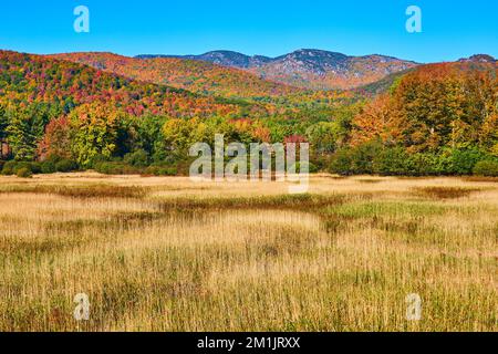 Campi dorati con colorate montagne di caduta sullo sfondo Foto Stock