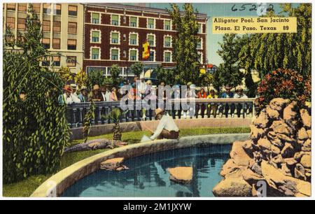 Alligator Pool, San Jacinto Plaza, El Paso, Texas, 89 , Tichnor Brothers Collection, cartoline degli Stati Uniti Foto Stock